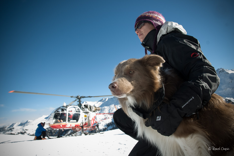 Cours romand des conducteurs de chiens d'avalanches